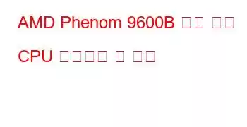 AMD Phenom 9600B 쿼드 코어 CPU 벤치마크 및 기능