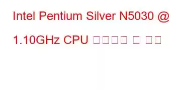 Intel Pentium Silver N5030 @ 1.10GHz CPU 벤치마크 및 기능