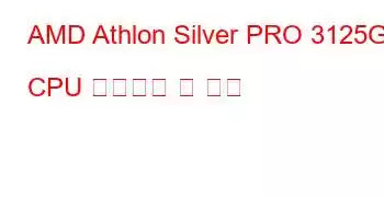 AMD Athlon Silver PRO 3125GE CPU 벤치마크 및 기능