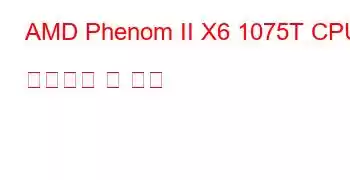 AMD Phenom II X6 1075T CPU 벤치마크 및 기능