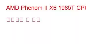 AMD Phenom II X6 1065T CPU 벤치마크 및 기능