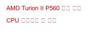 AMD Turion II P560 듀얼 코어 CPU 벤치마크 및 기능