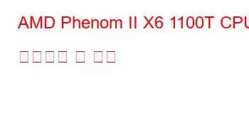 AMD Phenom II X6 1100T CPU 벤치마크 및 기능